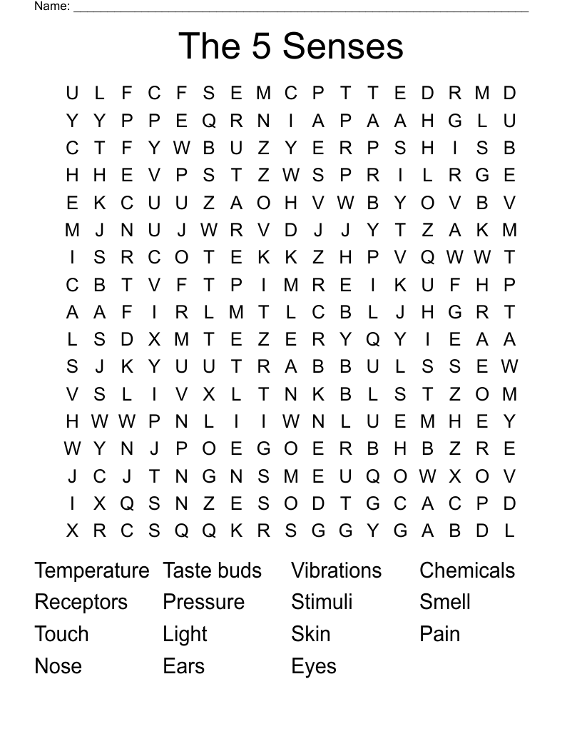 The 5 Senses Word Search