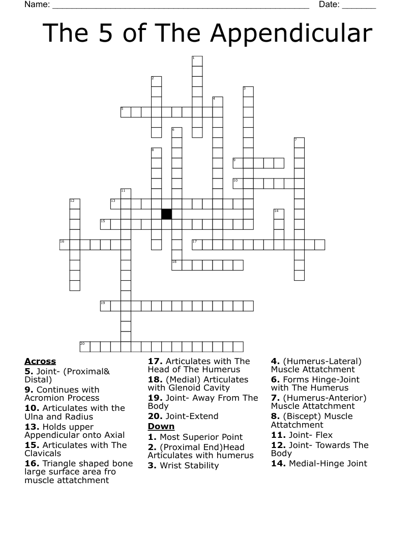 The 5 of The Appendicular Crossword