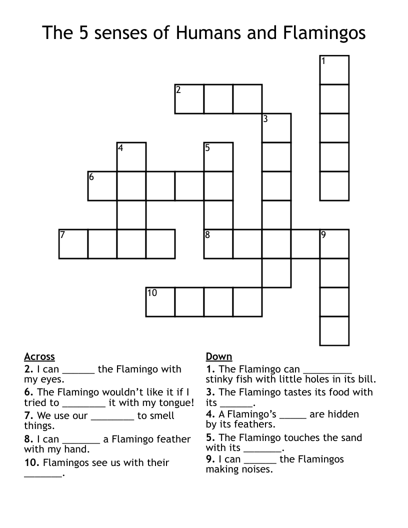 The 5 senses of Humans and Flamingos Crossword