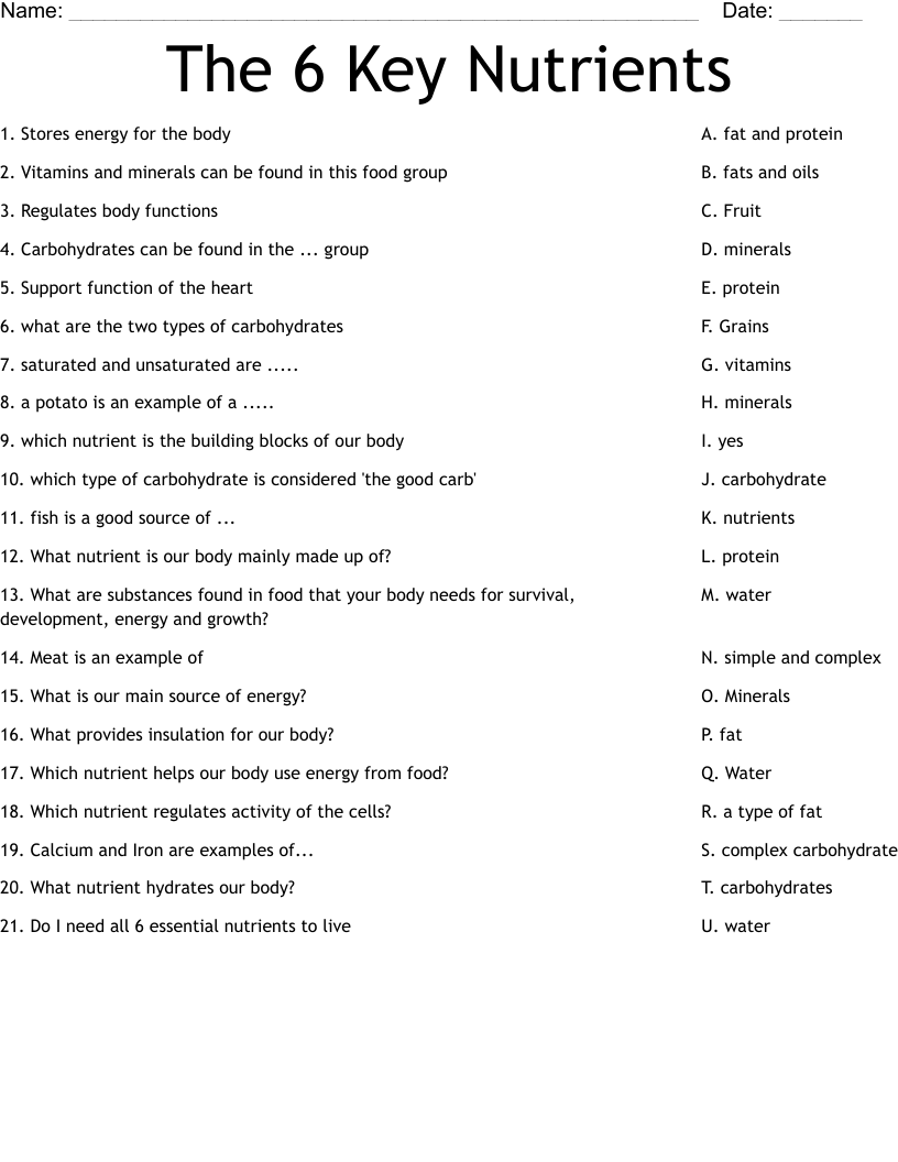 The 6 Key Nutrients  Worksheet