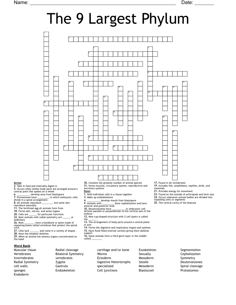 The 9 Largest Phylum Crossword