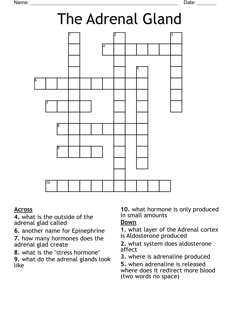 The Adrenal Gland Crossword