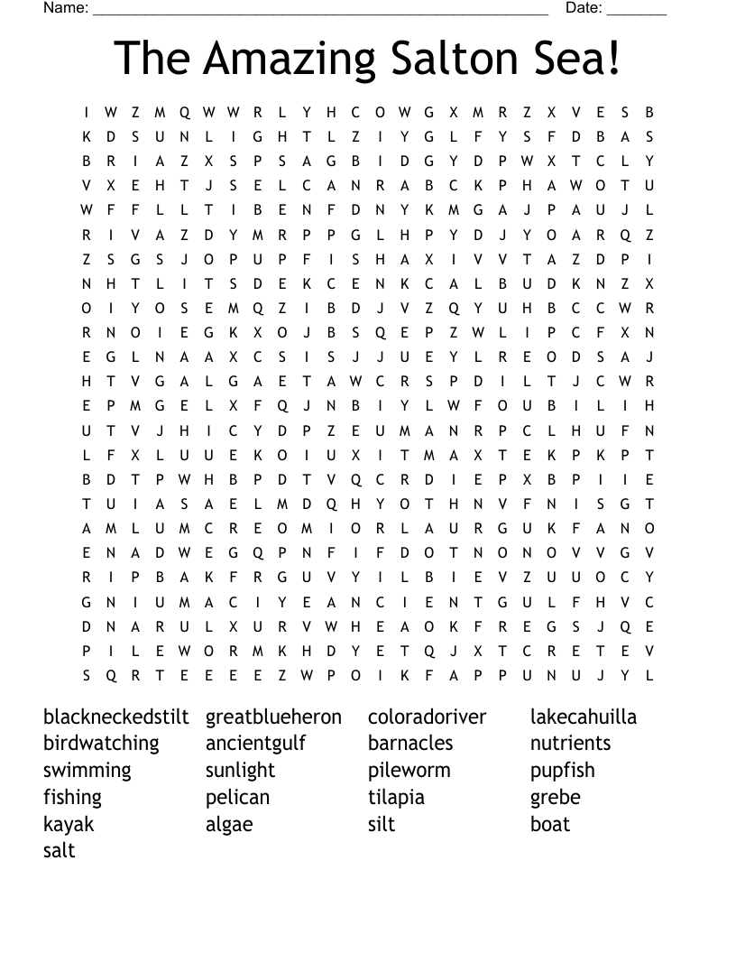 The Amazing Salton Sea! Word Search
