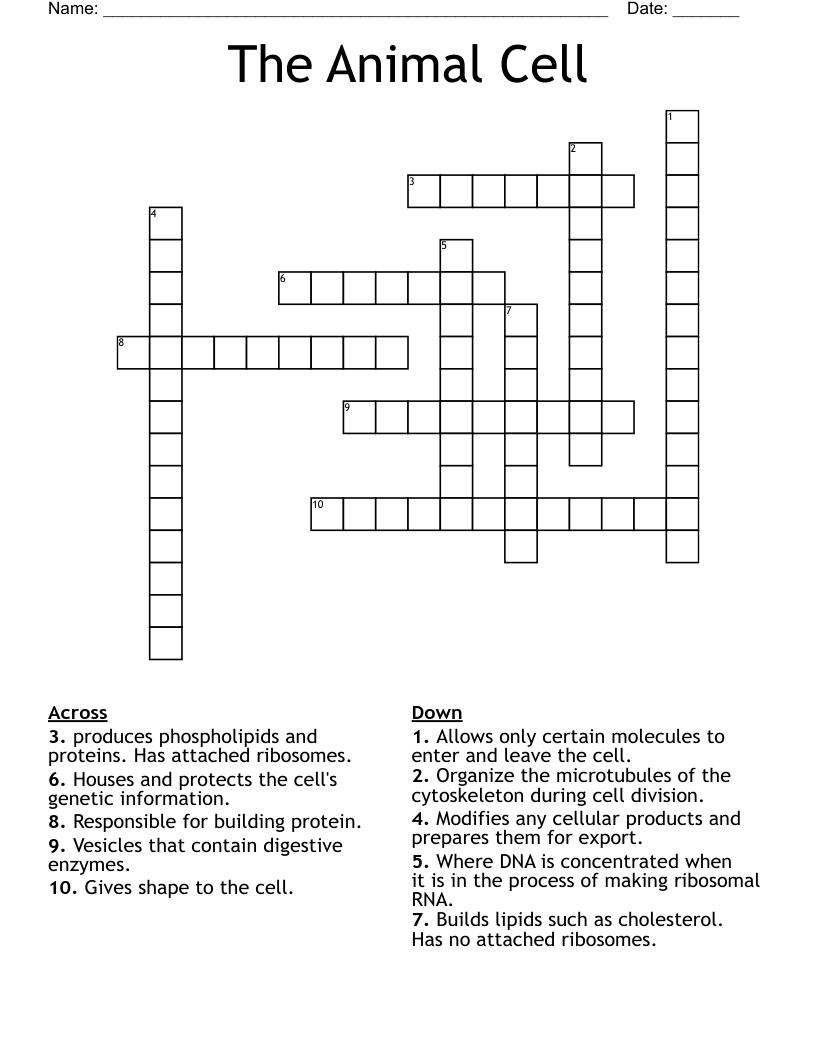 The Animal Cell Crossword