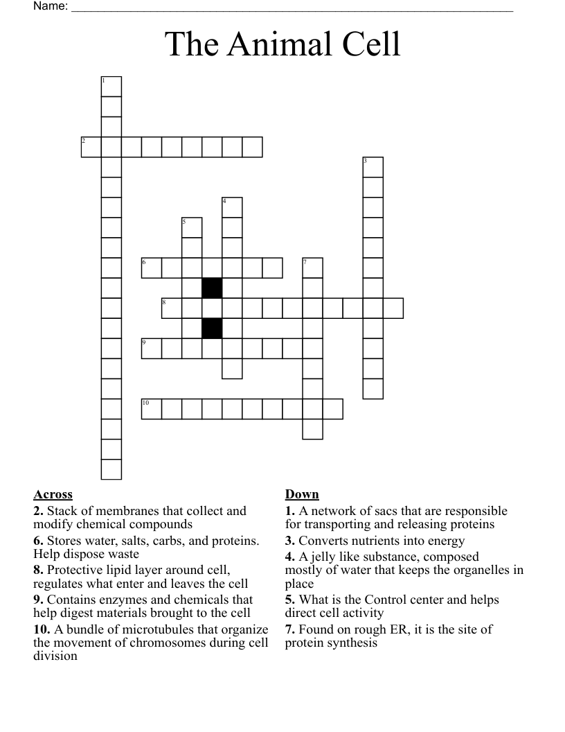 The Animal Cell Crossword