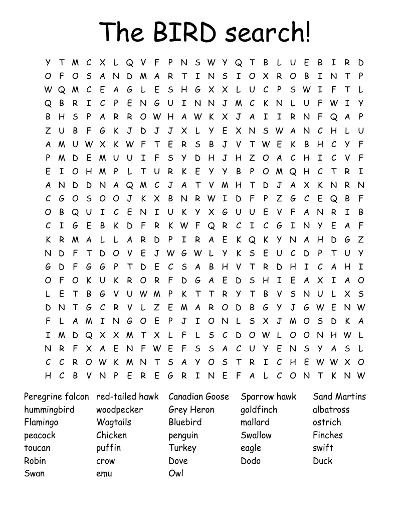 The BIRD search! Word Search