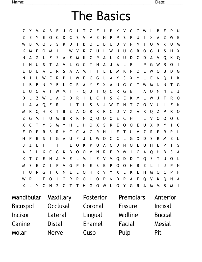 The Basics Word Search