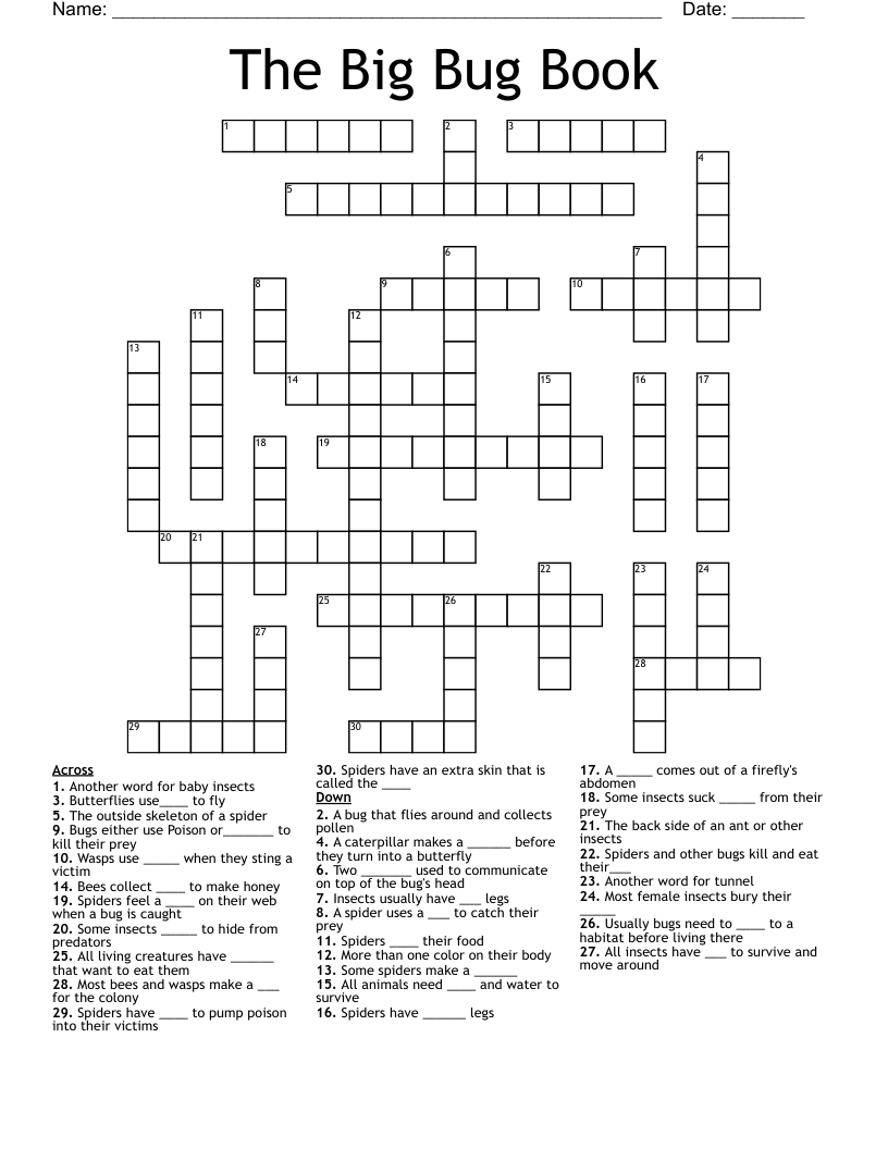 The Big Bug Book Crossword