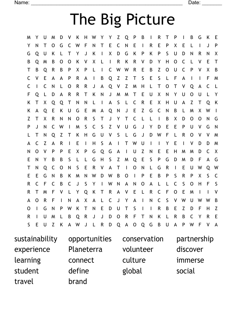 The Big Picture Word Search