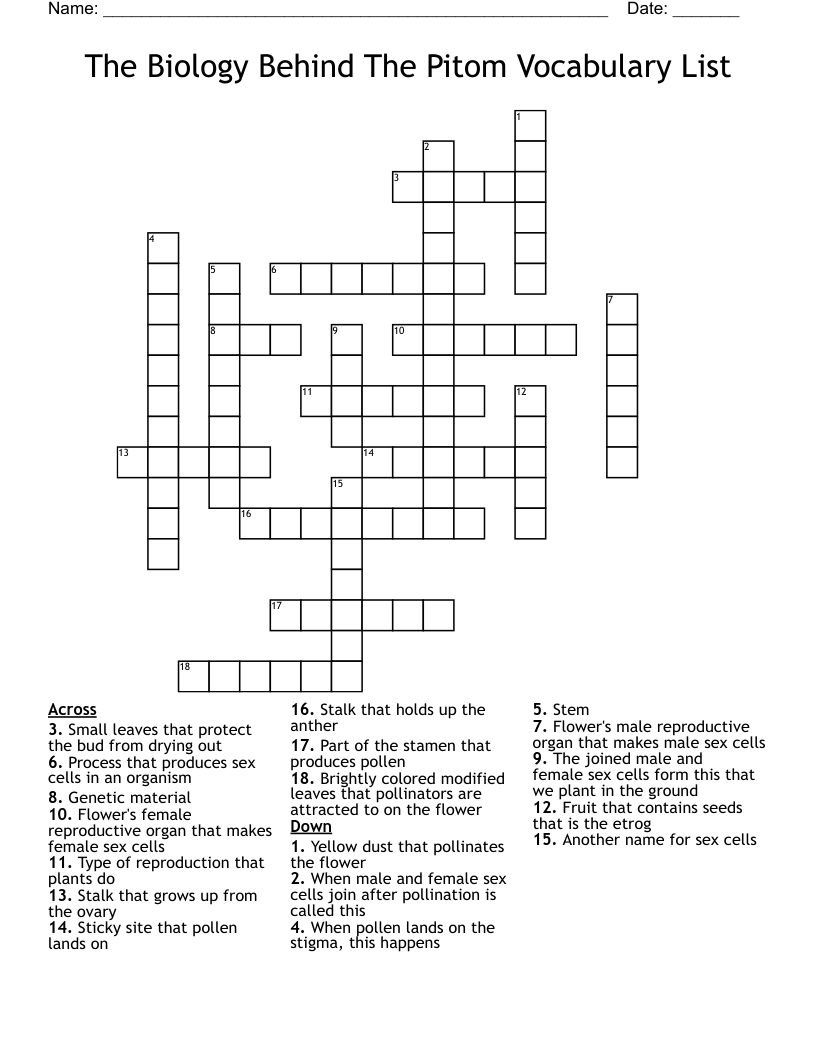 The Biology Behind The Pitom Vocabulary List Crossword