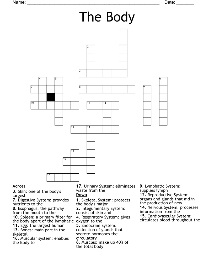 The Body Crossword