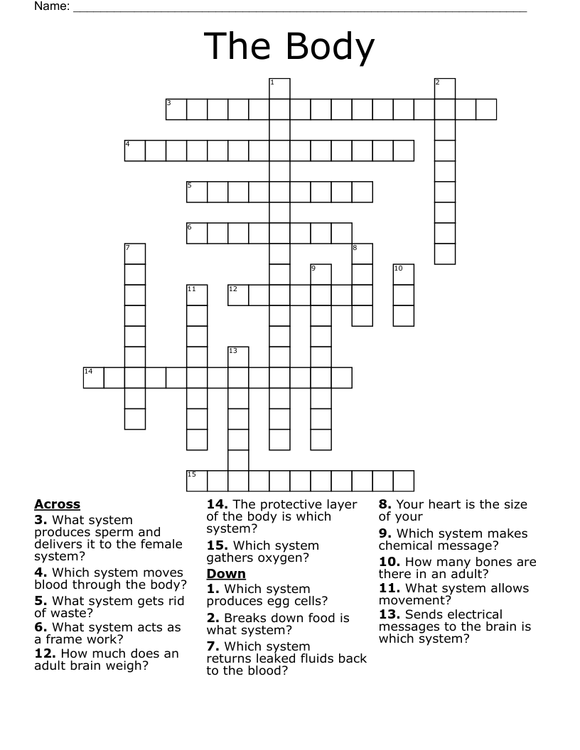 The Body Crossword
