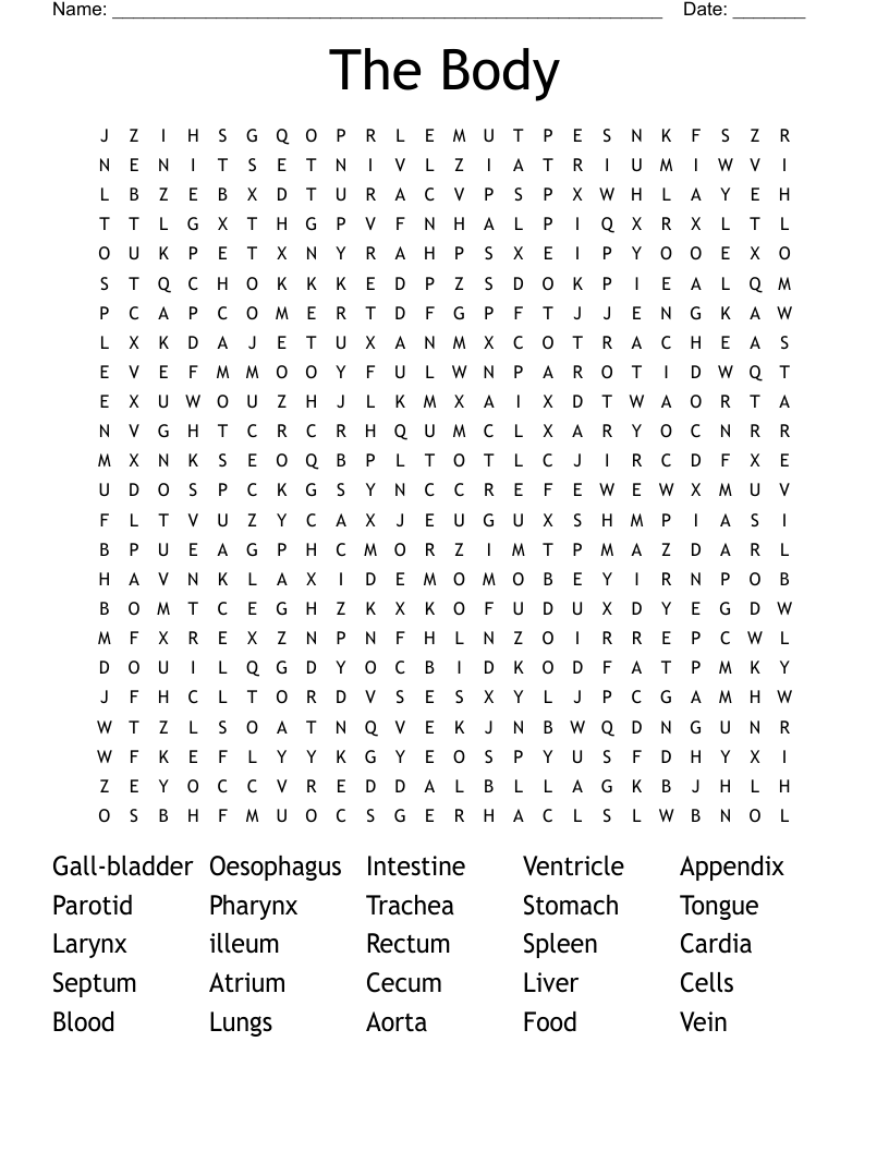 The Body  Word Search