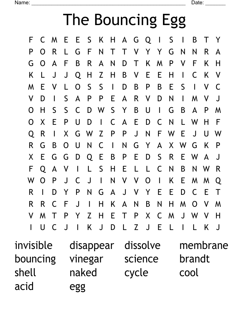 The Bouncing Egg Word Search