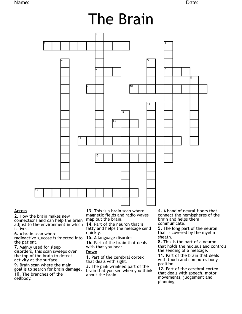 The Brain Crossword