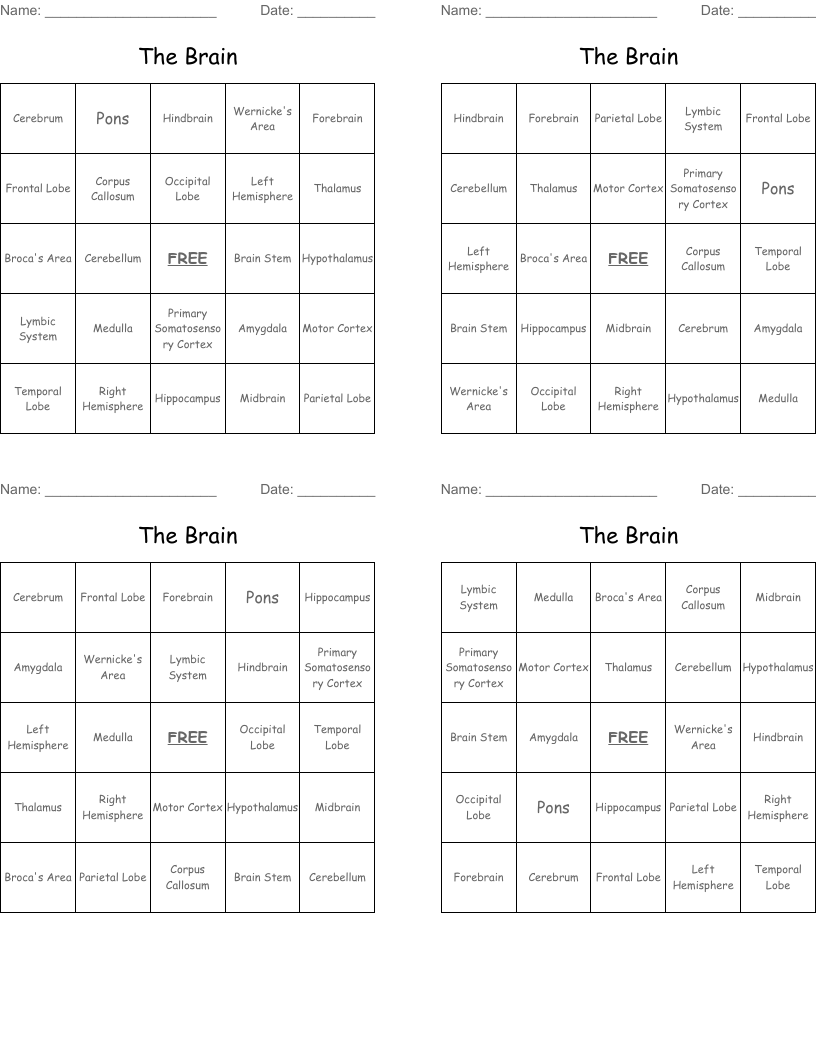 The Brain Bingo Cards