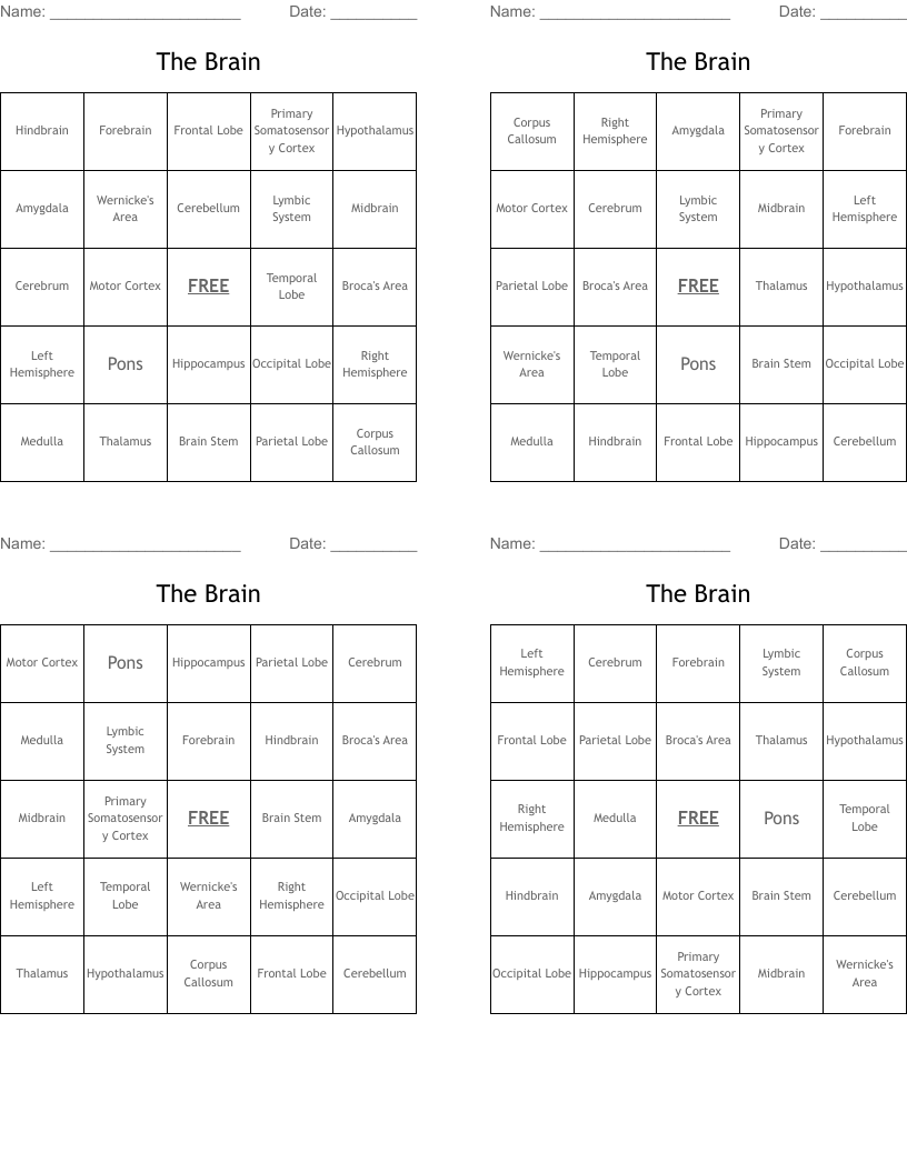 The Brain Bingo Cards