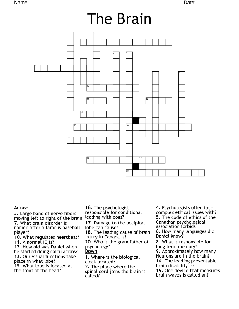 The Brain Crossword