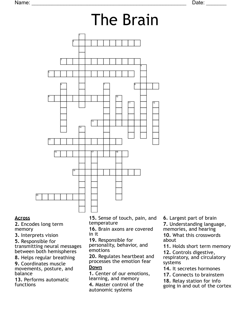 The Brain Crossword
