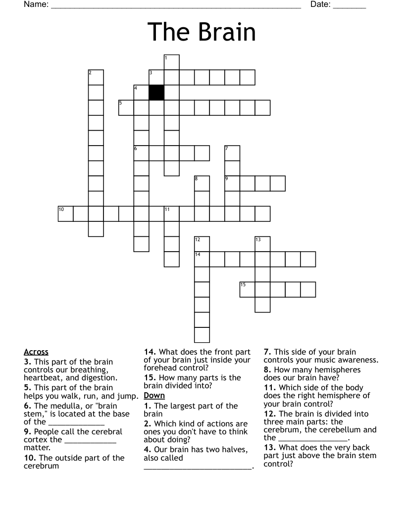 The Brain Crossword