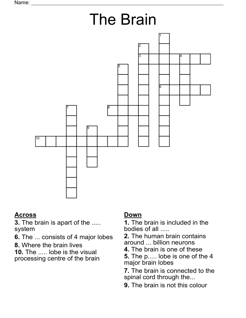 The Brain Crossword