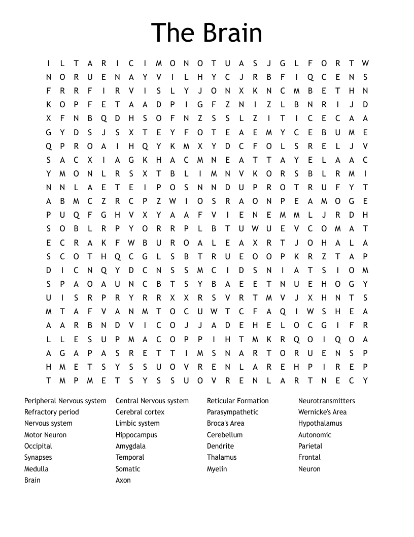The Brain Word Search