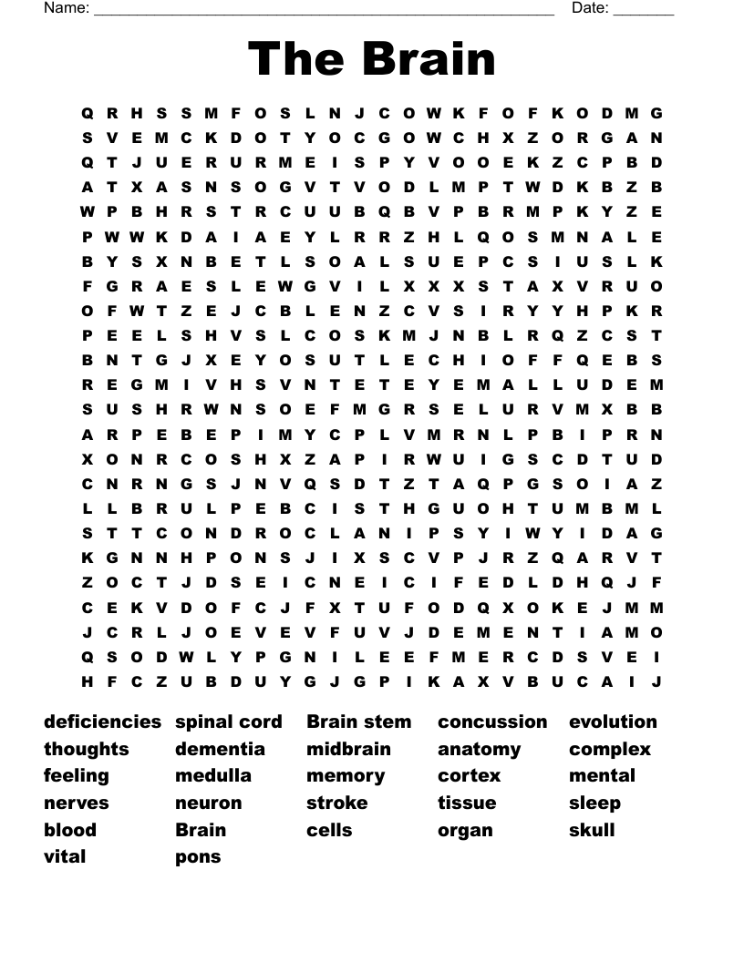 The Brain Word Search