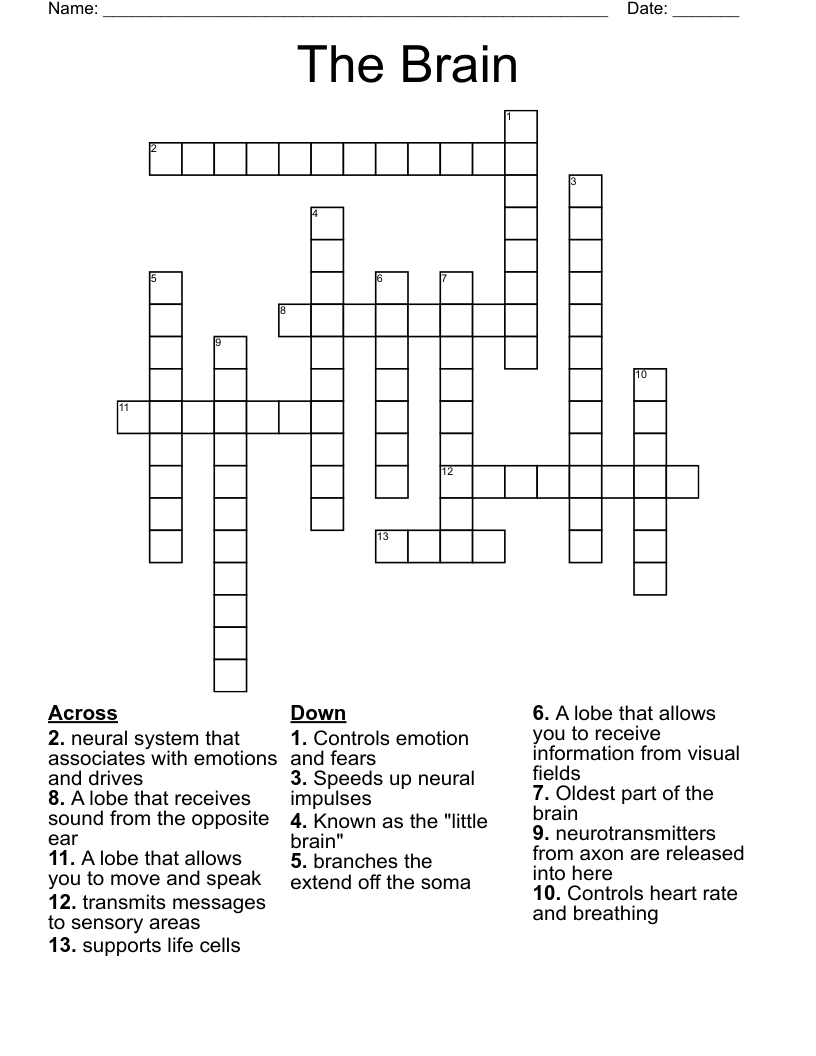 The Brain Crossword