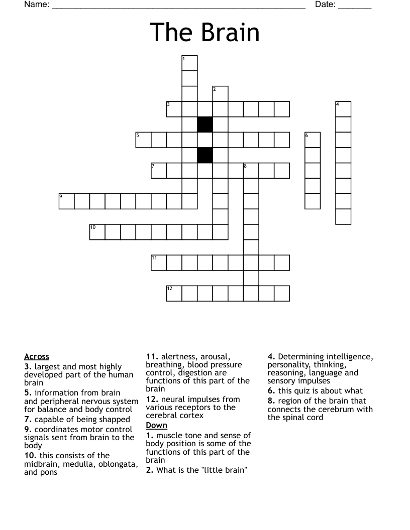 The Brain Crossword