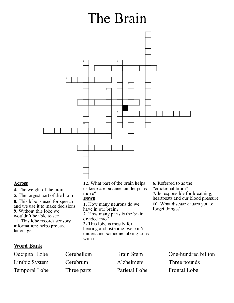 The Brain Crossword