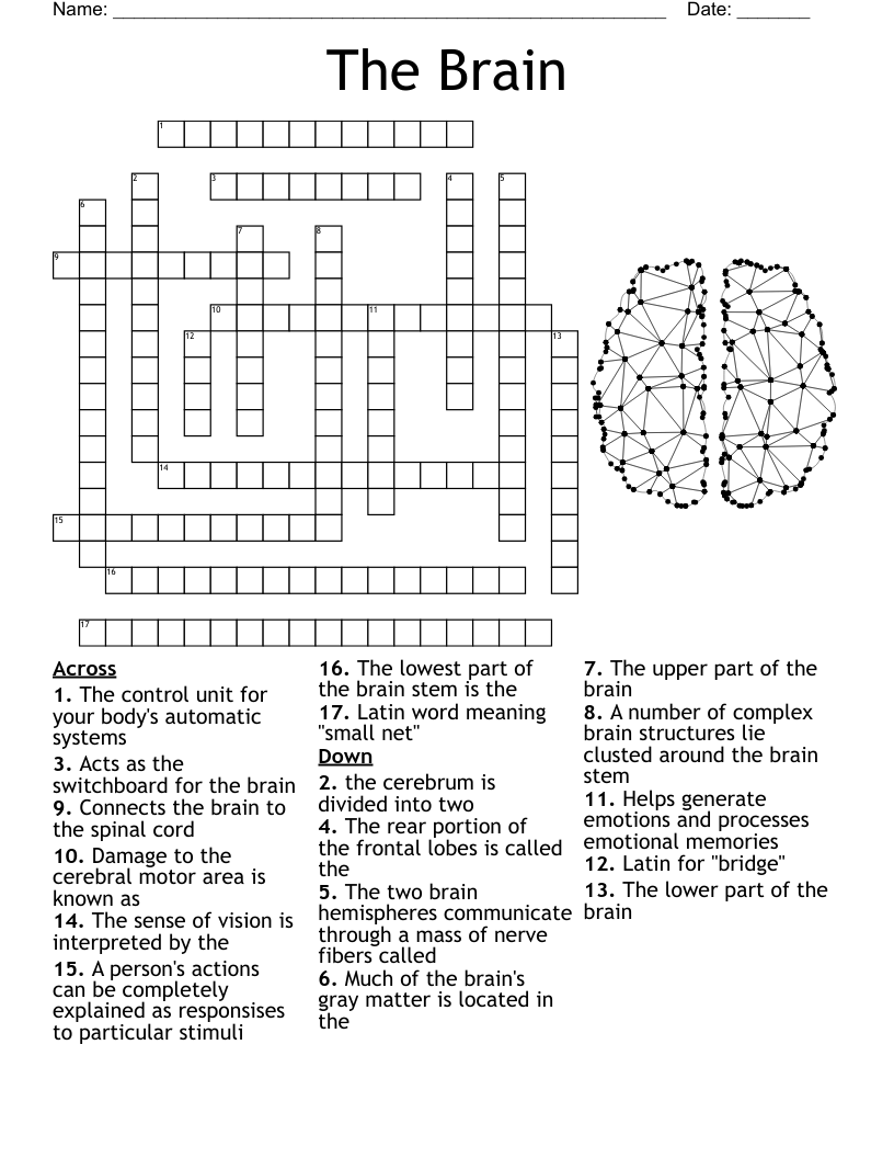 The Brain Crossword