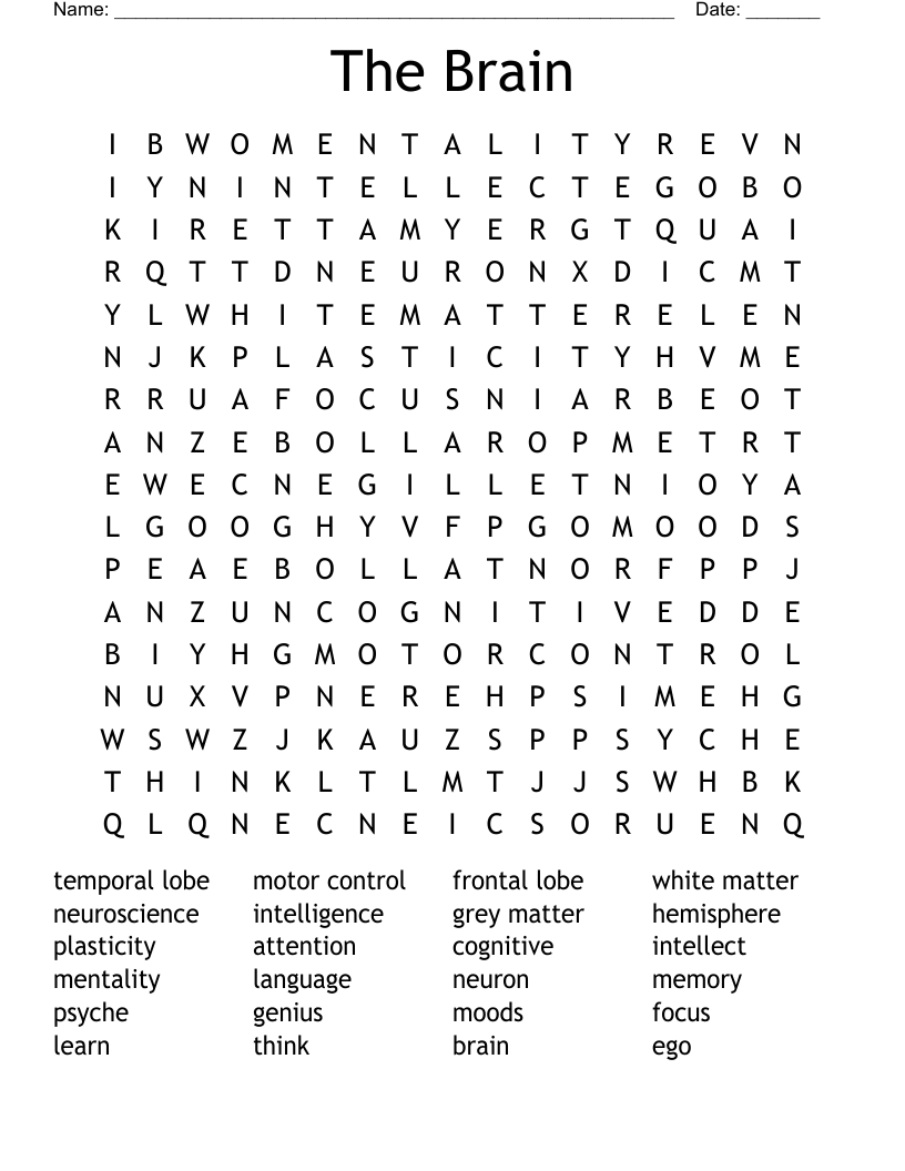 The Brain Word Search