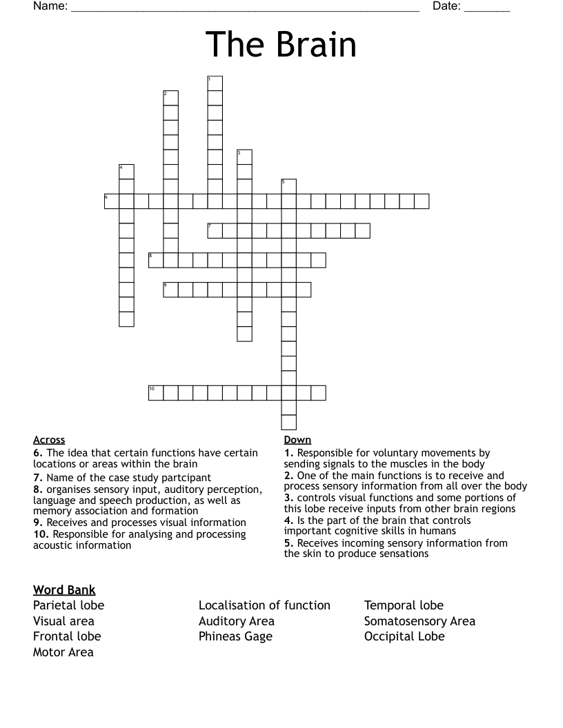 The Brain  Crossword