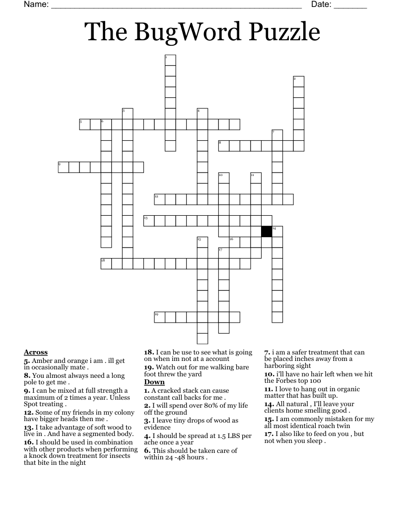 The BugWord Puzzle  Crossword