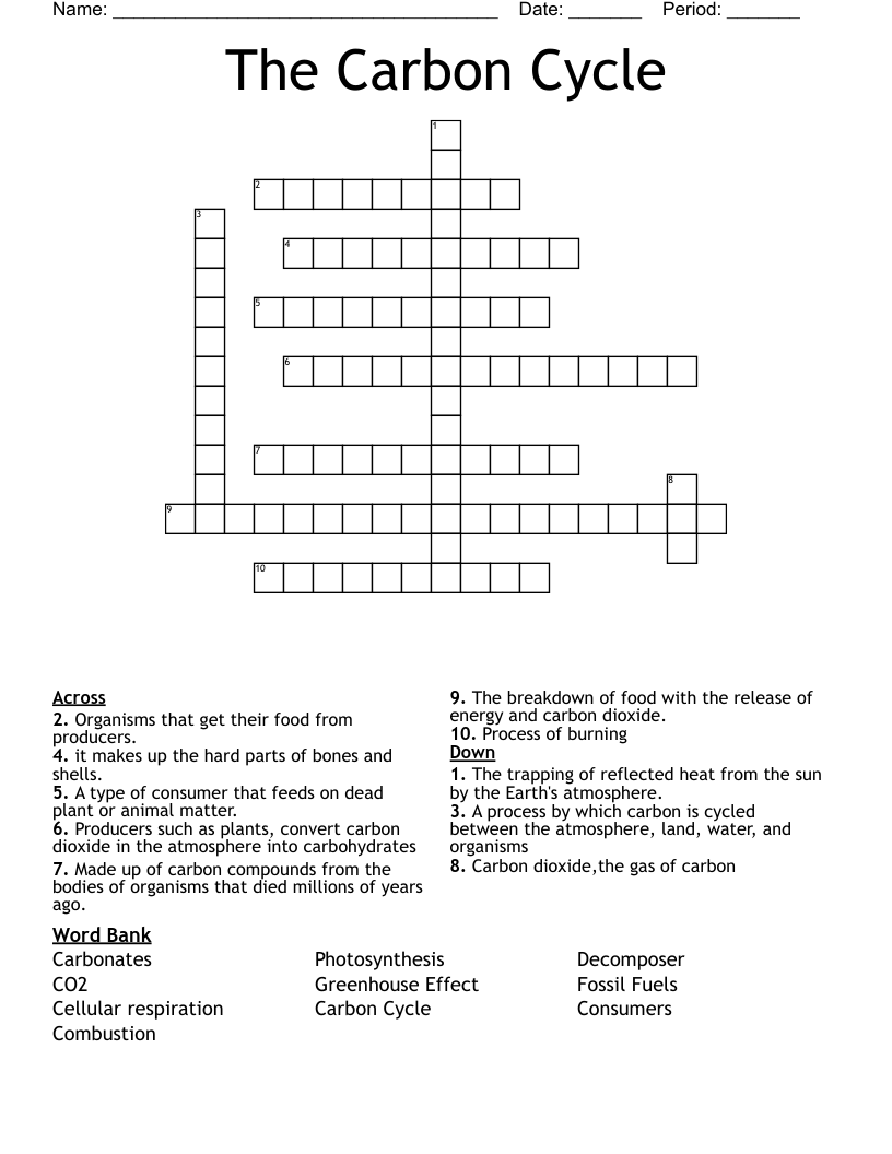 The Carbon Cycle  Crossword
