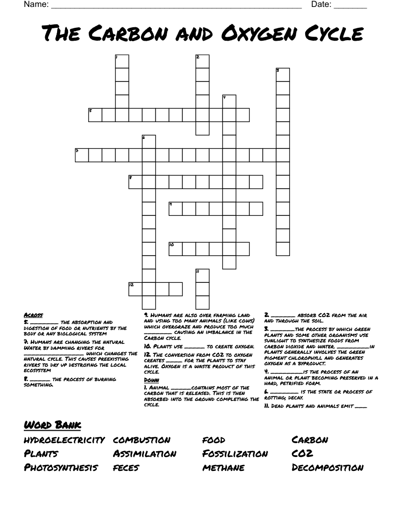 The Carbon and Oxygen Cycle Crossword