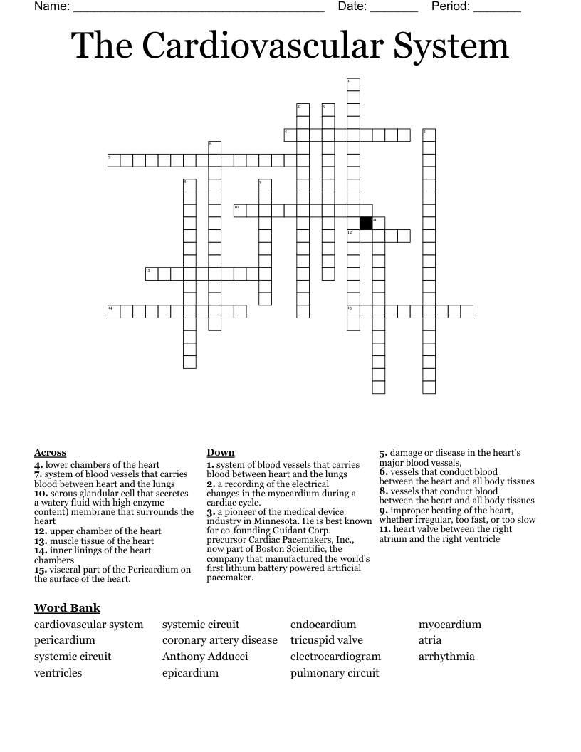The Cardiovascular System Crossword