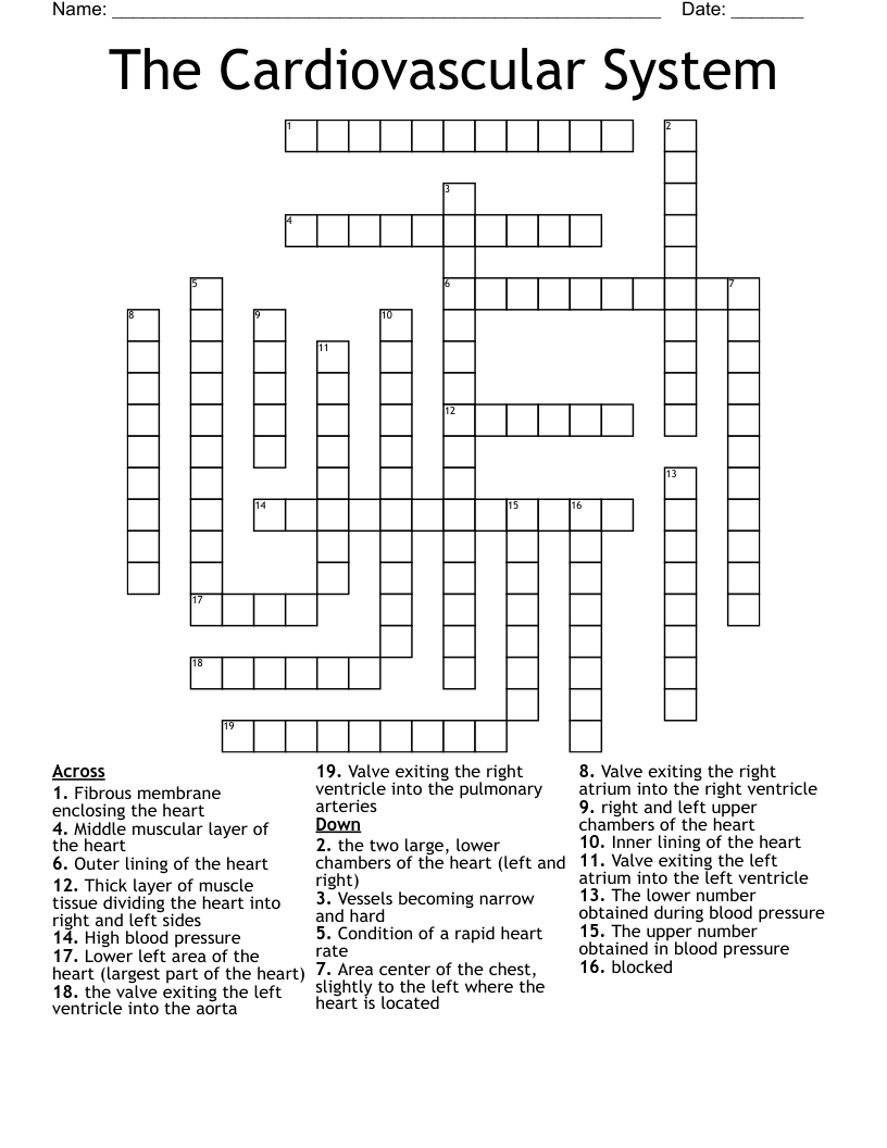 The Cardiovascular System Crossword