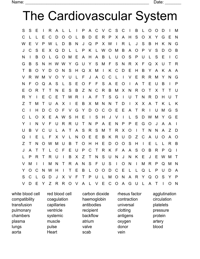 The Cardiovascular System Word Search