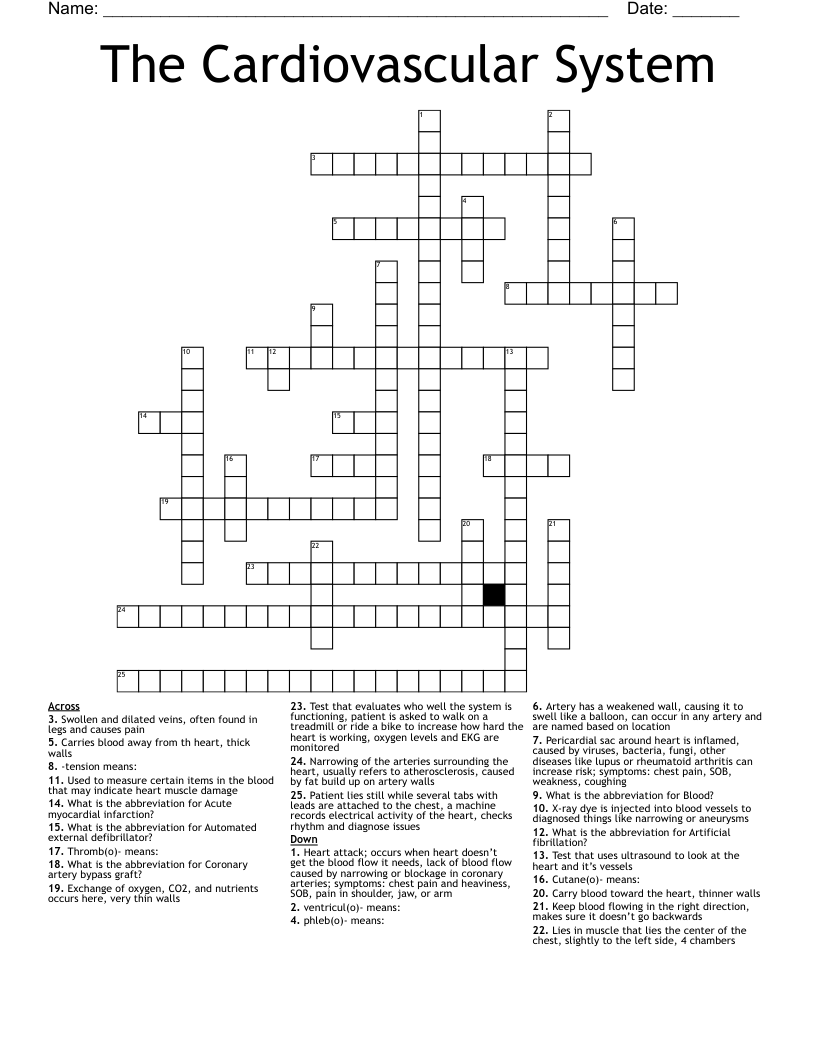 The Cardiovascular System Crossword