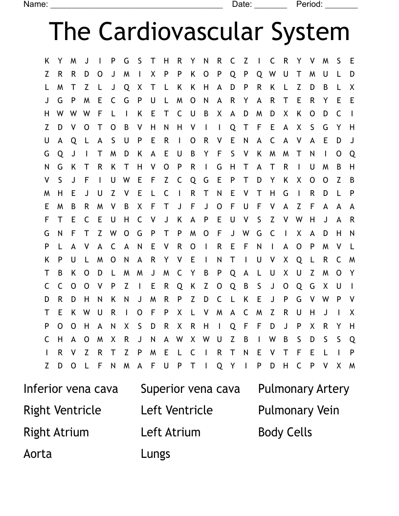 The Cardiovascular System Word Search