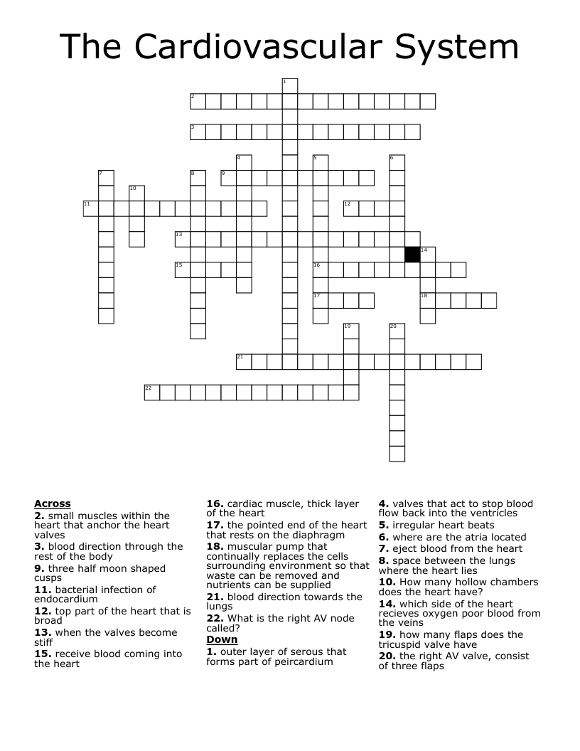 The Cardiovascular System Crossword