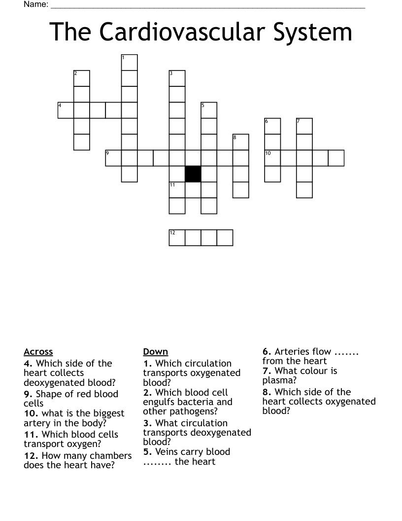 The Cardiovascular System Crossword
