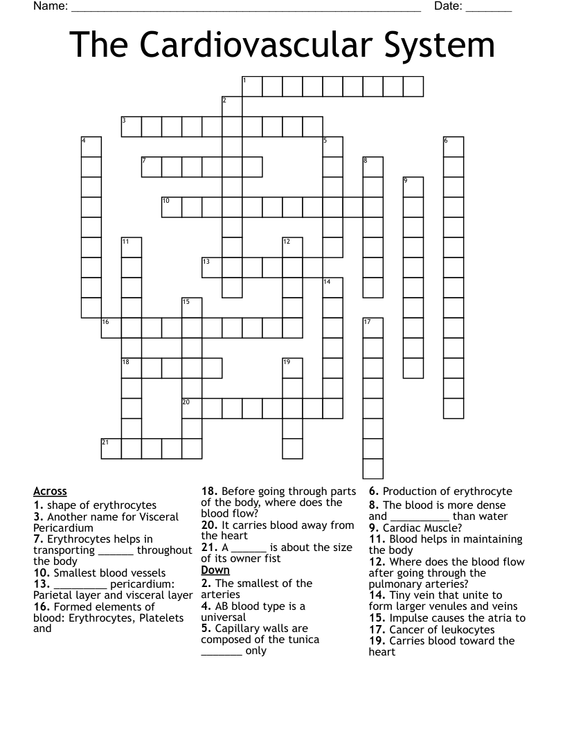 The Cardiovascular System Crossword