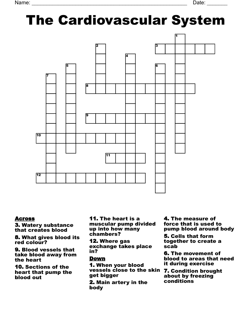 The Cardiovascular System Crossword