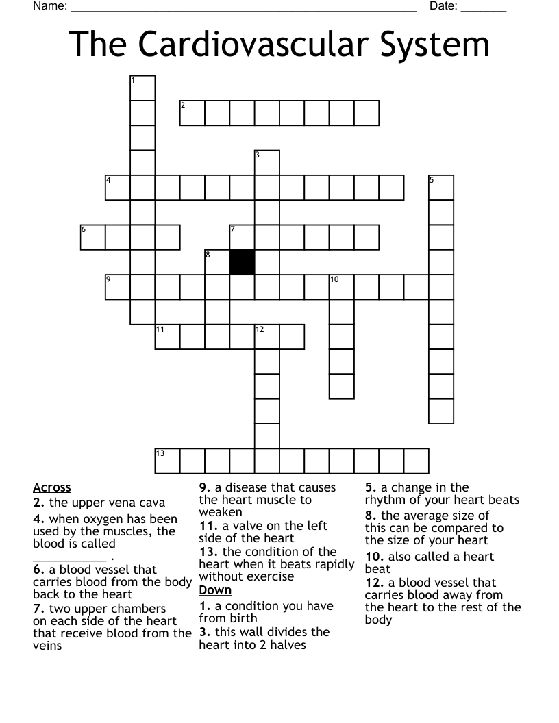 The Cardiovascular System Crossword