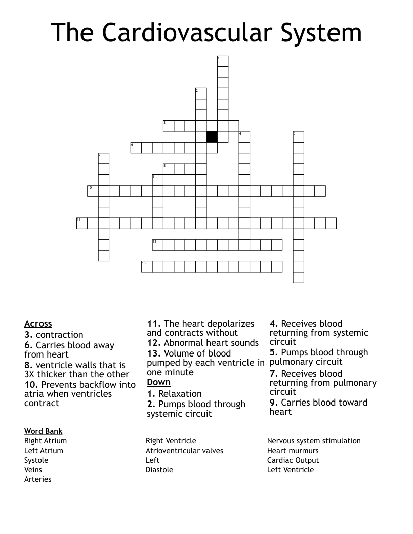 The Cardiovascular System  Crossword
