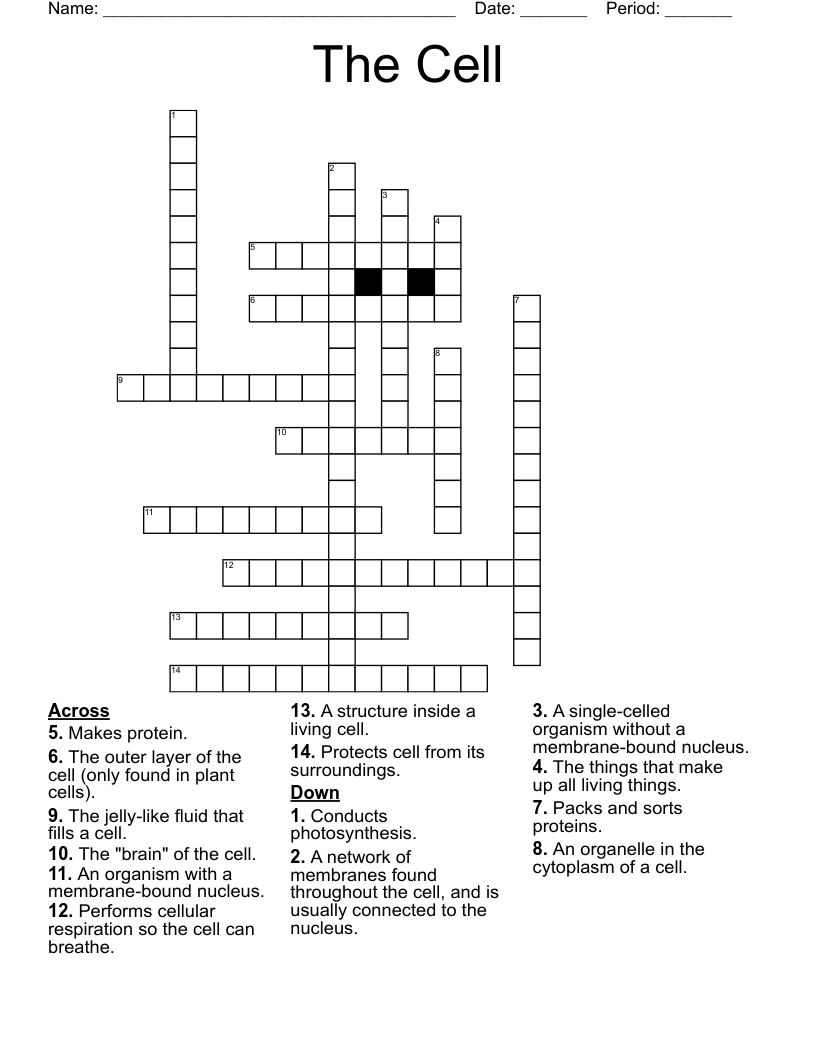 The Cell Crossword