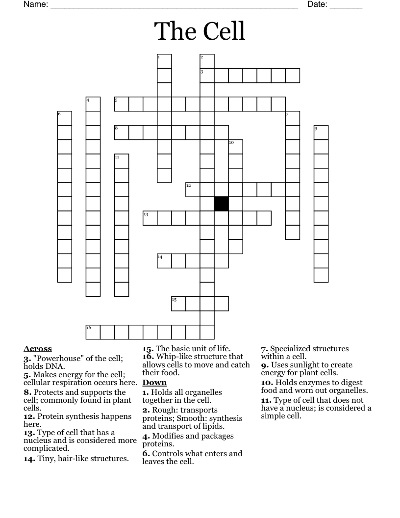 The Cell Crossword