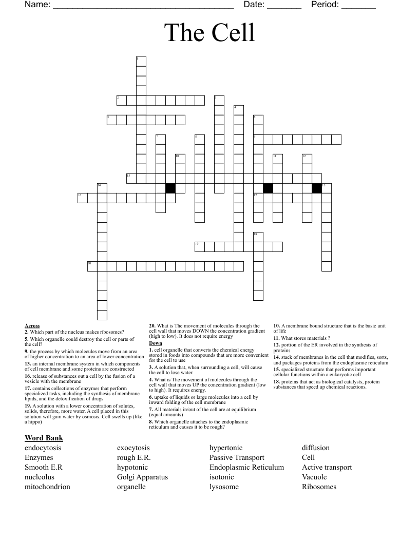 The Cell Crossword